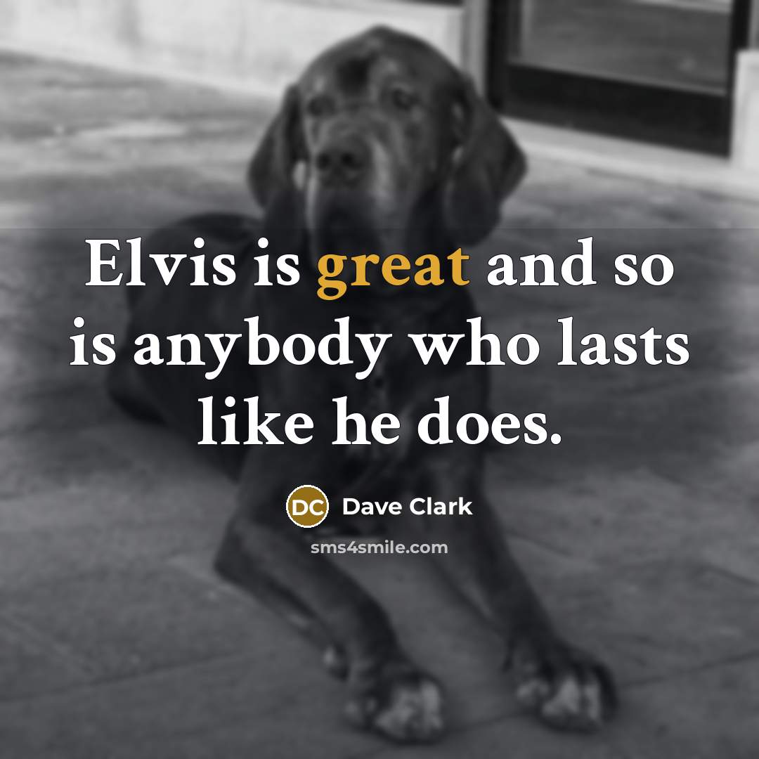 “Elvis is great and so is anybody who lasts like…” quote by Dave Clark