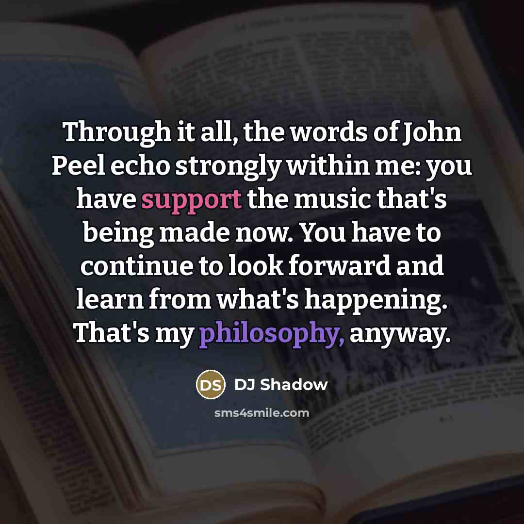 “Through it all, the words of John Peel echo strongly…” quote by DJ Shadow