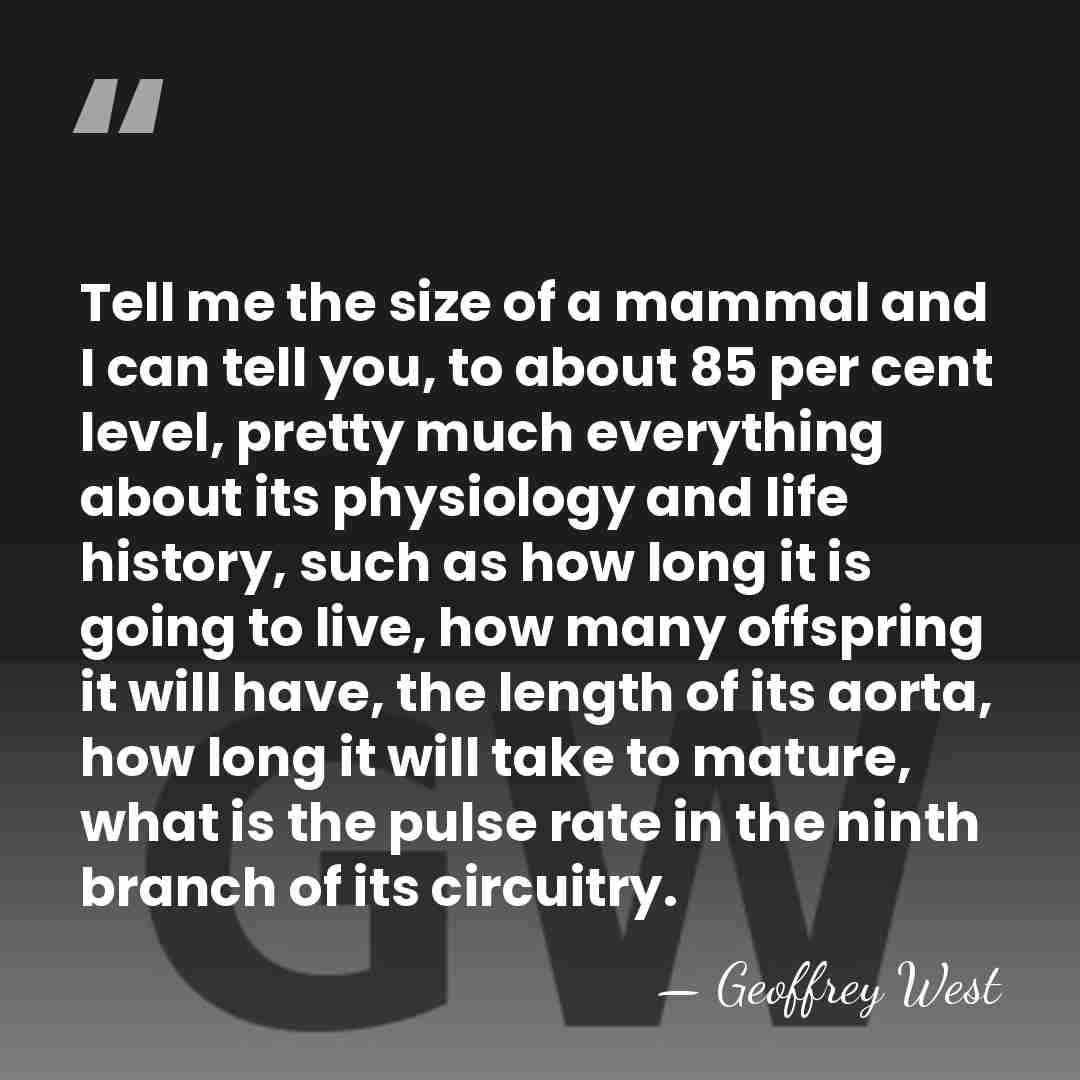 Tell me the size of a mammal and I can tell you,&hellip; - Geoffrey West