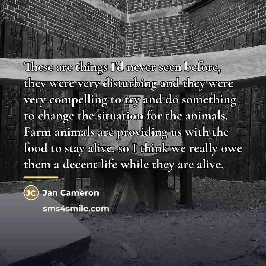 “These are things I'd never seen before, they were very…” quote by Jan Cameron