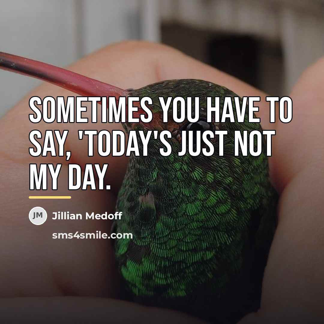 “Sometimes you have to say, 'Today's just not my day.…” quote by Jillian Medoff