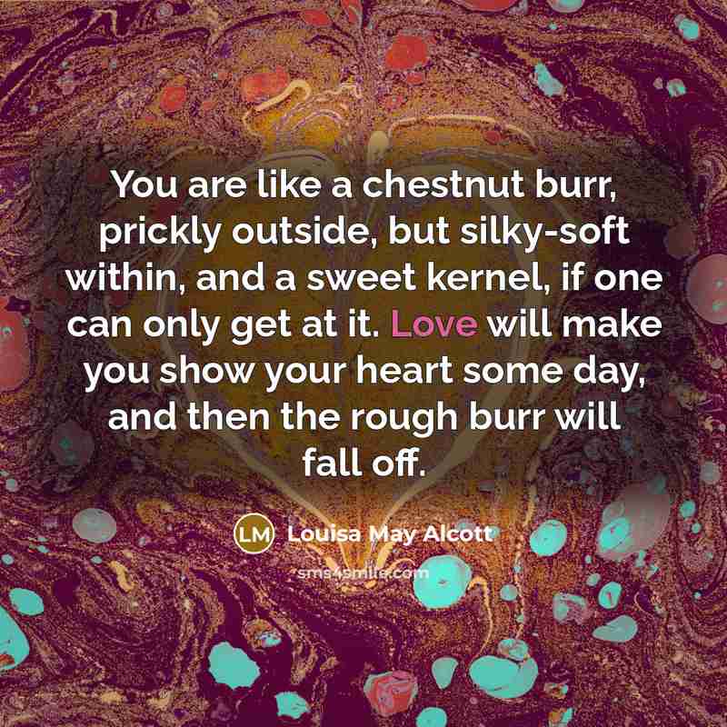 “You are like a chestnut burr, prickly outside, but silky-soft…” quote by Louisa May Alcott