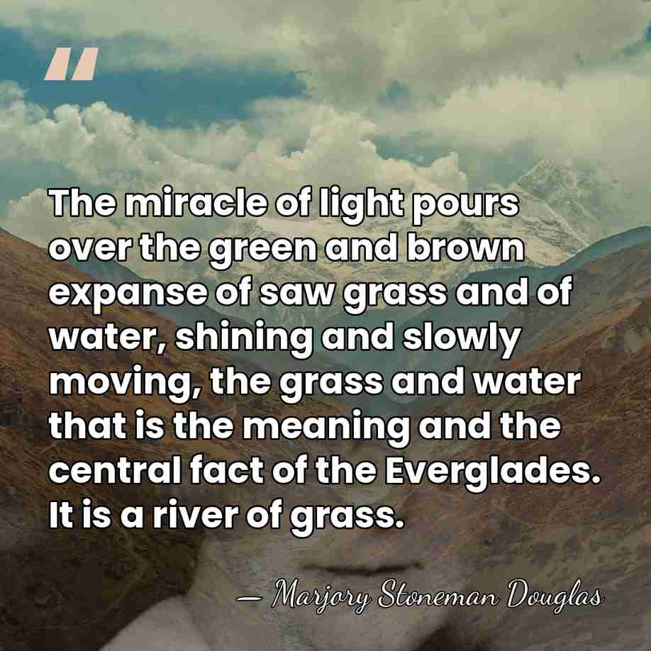The miracle of light pours over the green and brown expanse of saw&hellip; - Marjory Stoneman Douglas