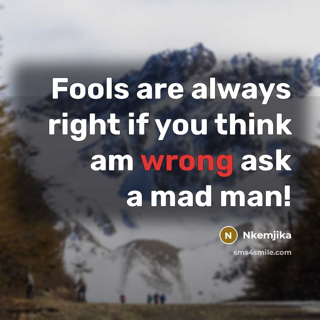 “Fools are always right if you think am wrong ask a mad man!” quote by Nkemjika