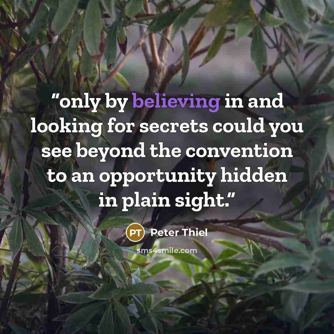 “only by believing in and looking for secrets could you see beyond the convention to an opportunity hidden in plain sight.” quote by Peter Thiel