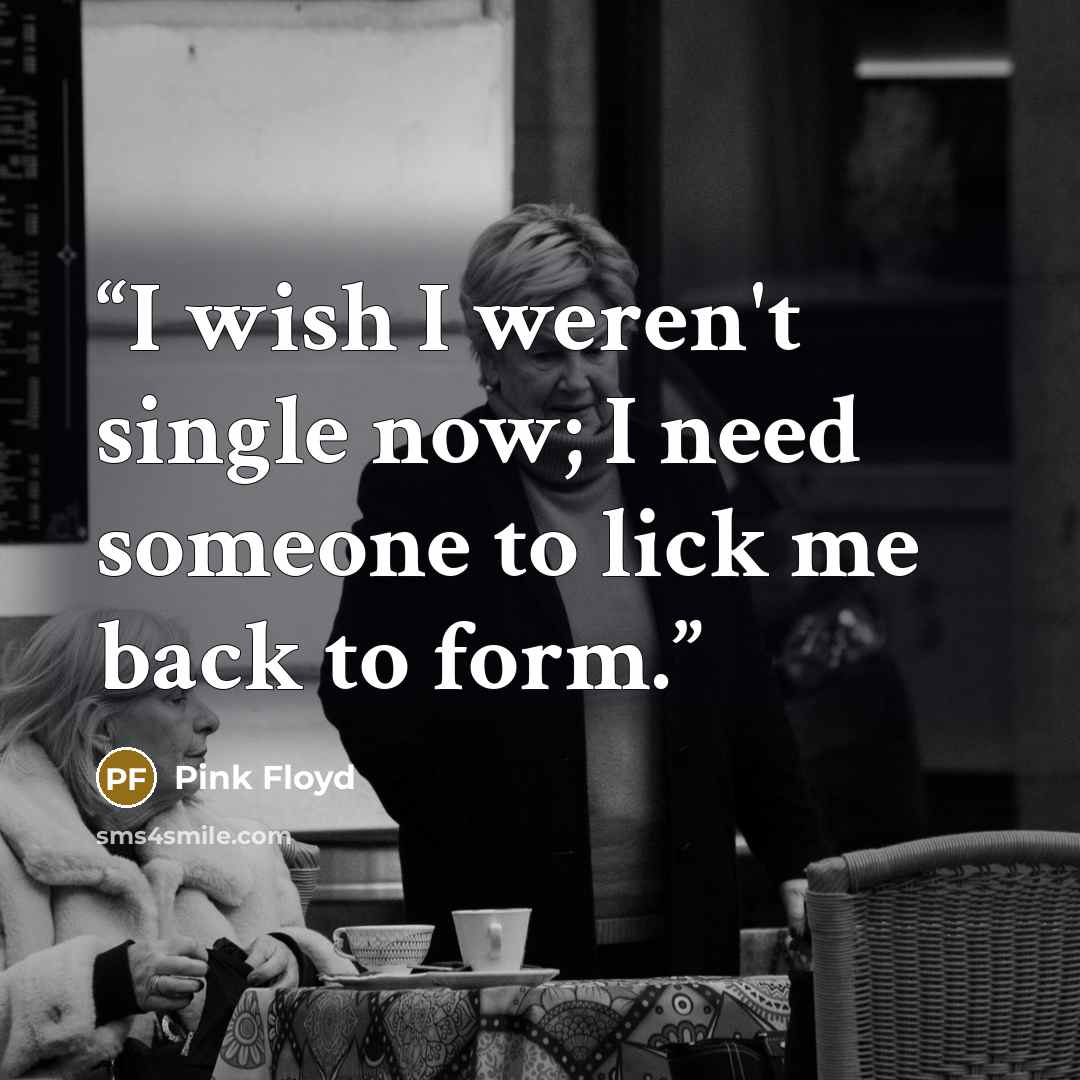 “I wish I weren't single now; I need someone to lick me back to form.” quote by Pink Floyd