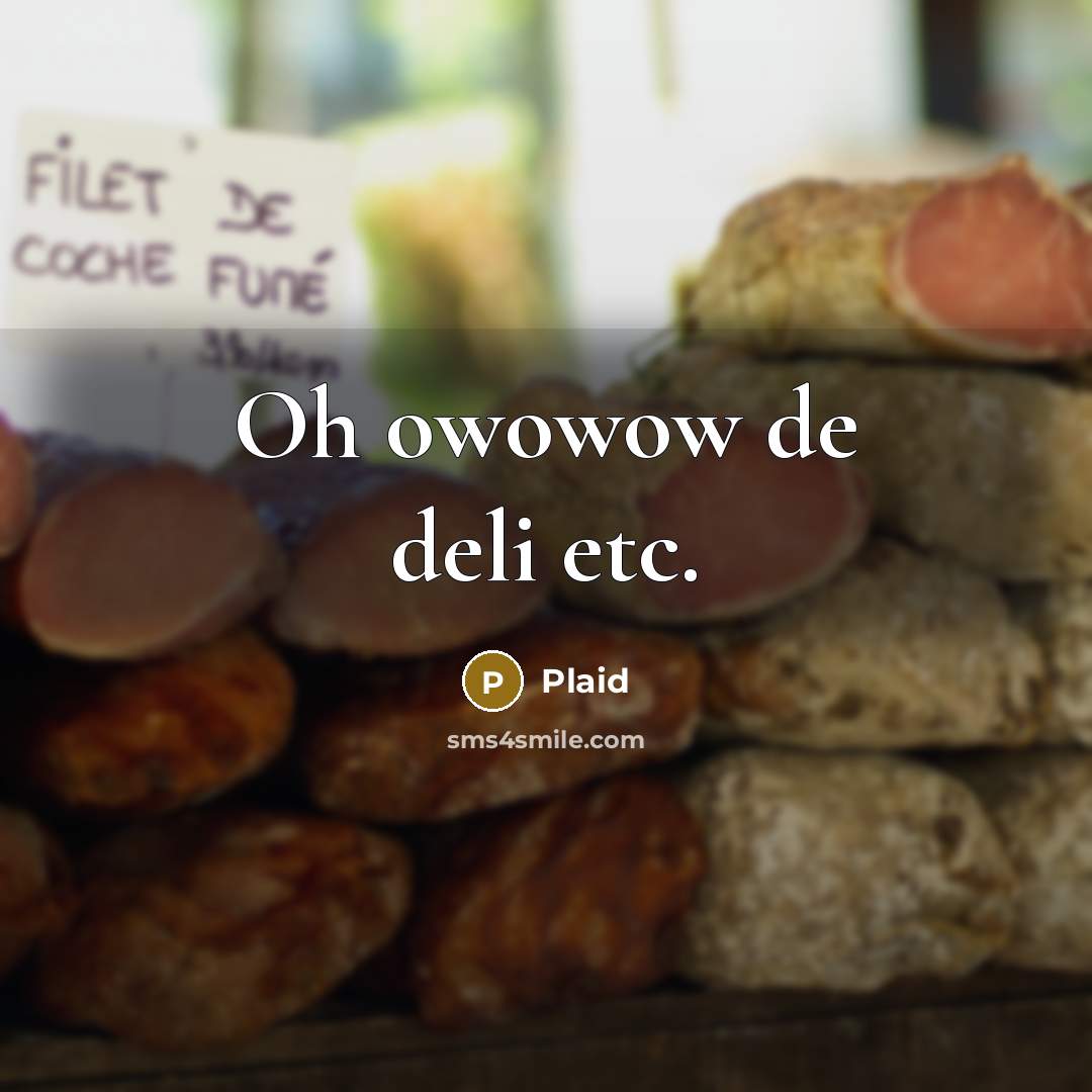 “Oh owowow de deli etc.…” quote by Plaid