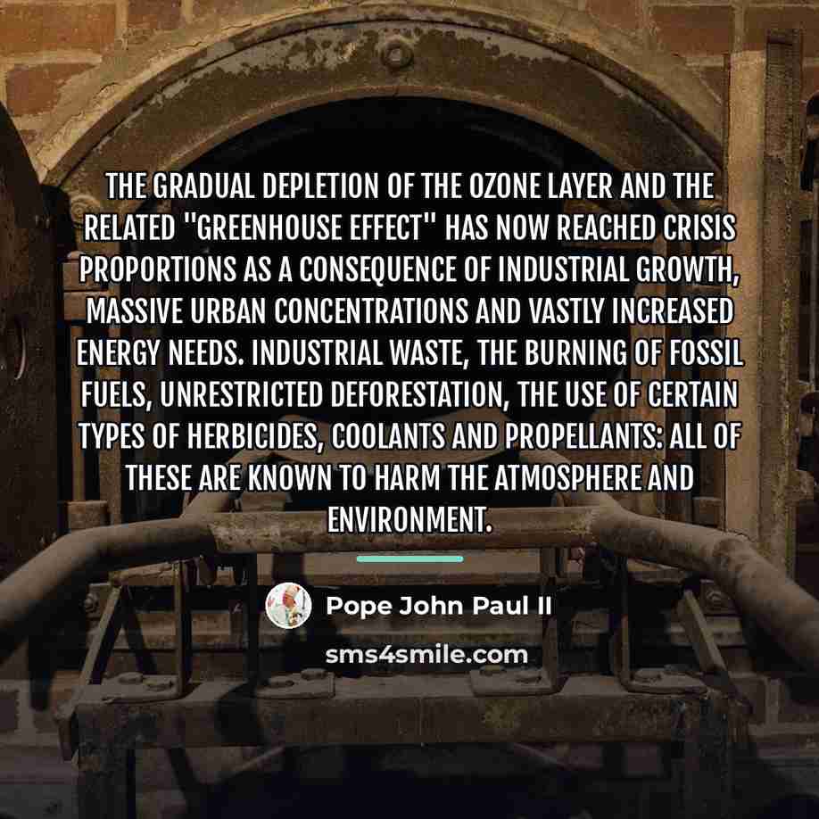 “The gradual depletion of the ozone layer and the related…” quote by Pope John Paul II