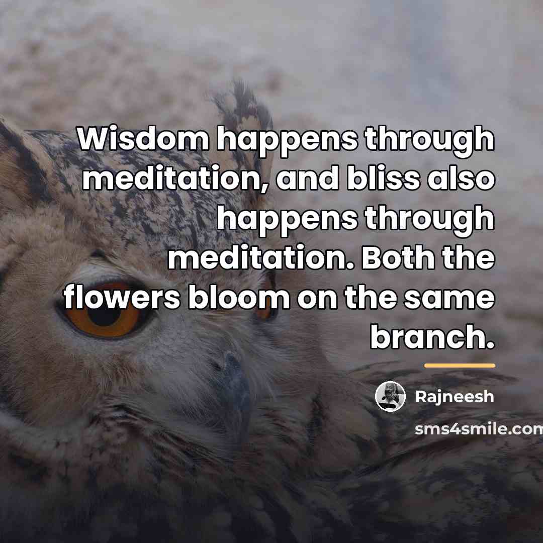 “Wisdom happens through meditation, and bliss also happens through meditation.…” quote by Rajneesh