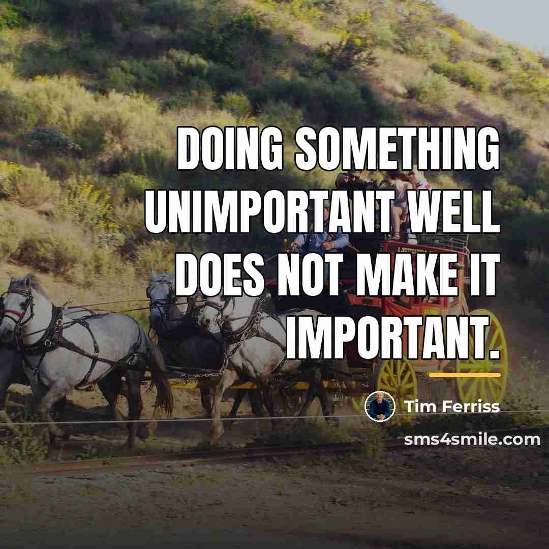 “Doing something unimportant well does not make it important.…” quote by Tim Ferriss