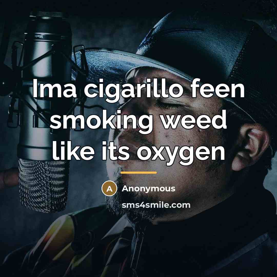 “Ima cigarillo feen smoking weed like its oxygen…” quote by Anonymous