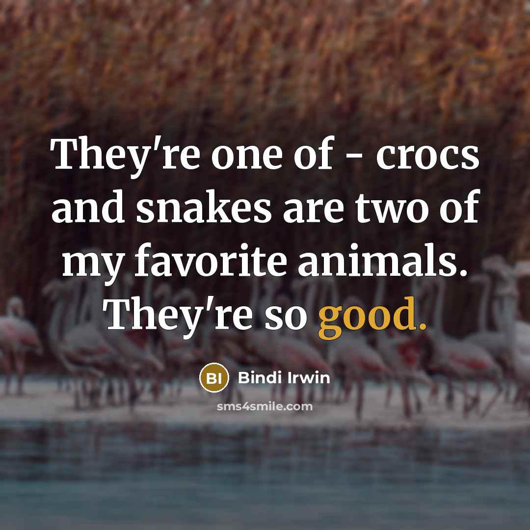 “They're one of - crocs and snakes are two of…” quote by Bindi Irwin
