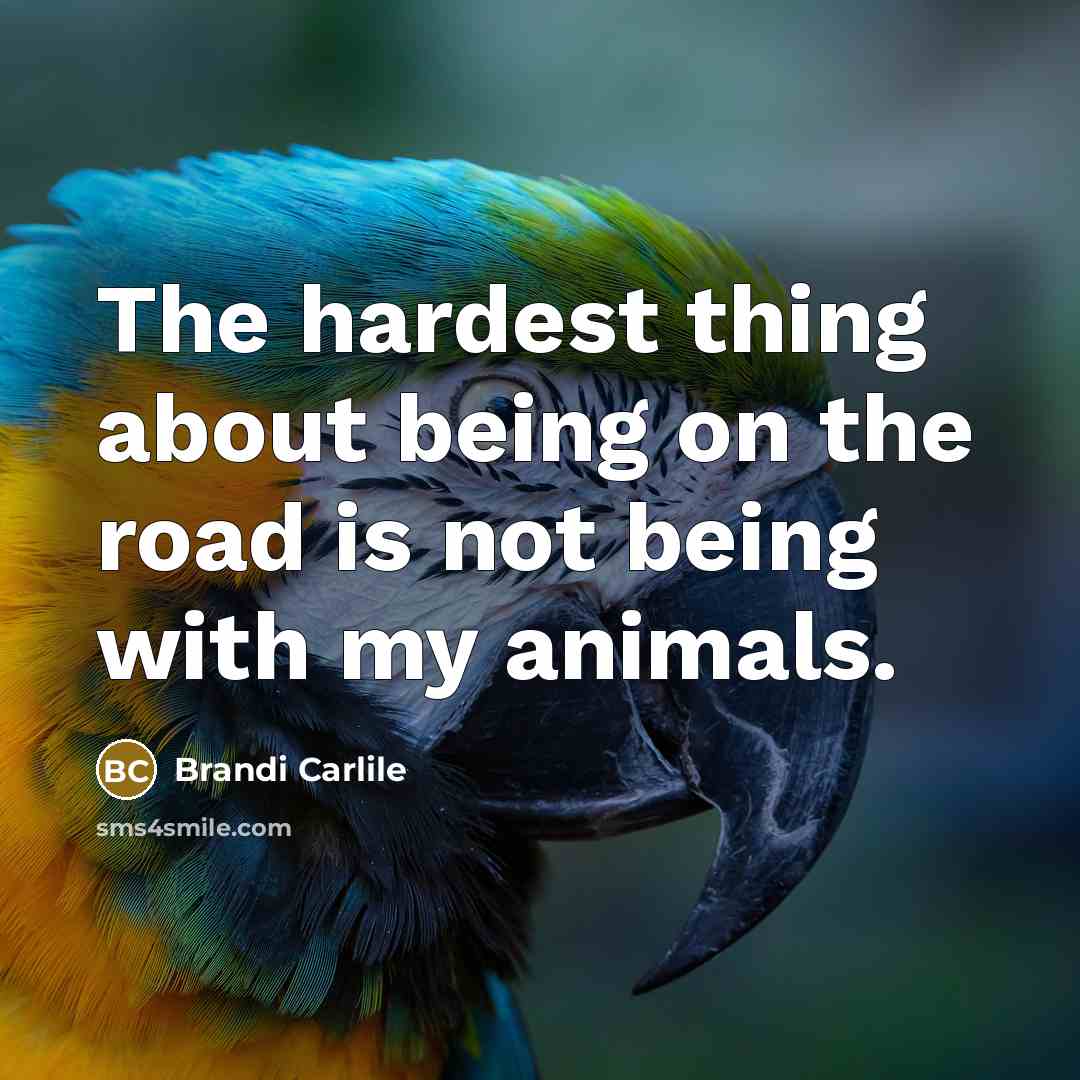 “The hardest thing about being on the road is not…” quote by Brandi Carlile
