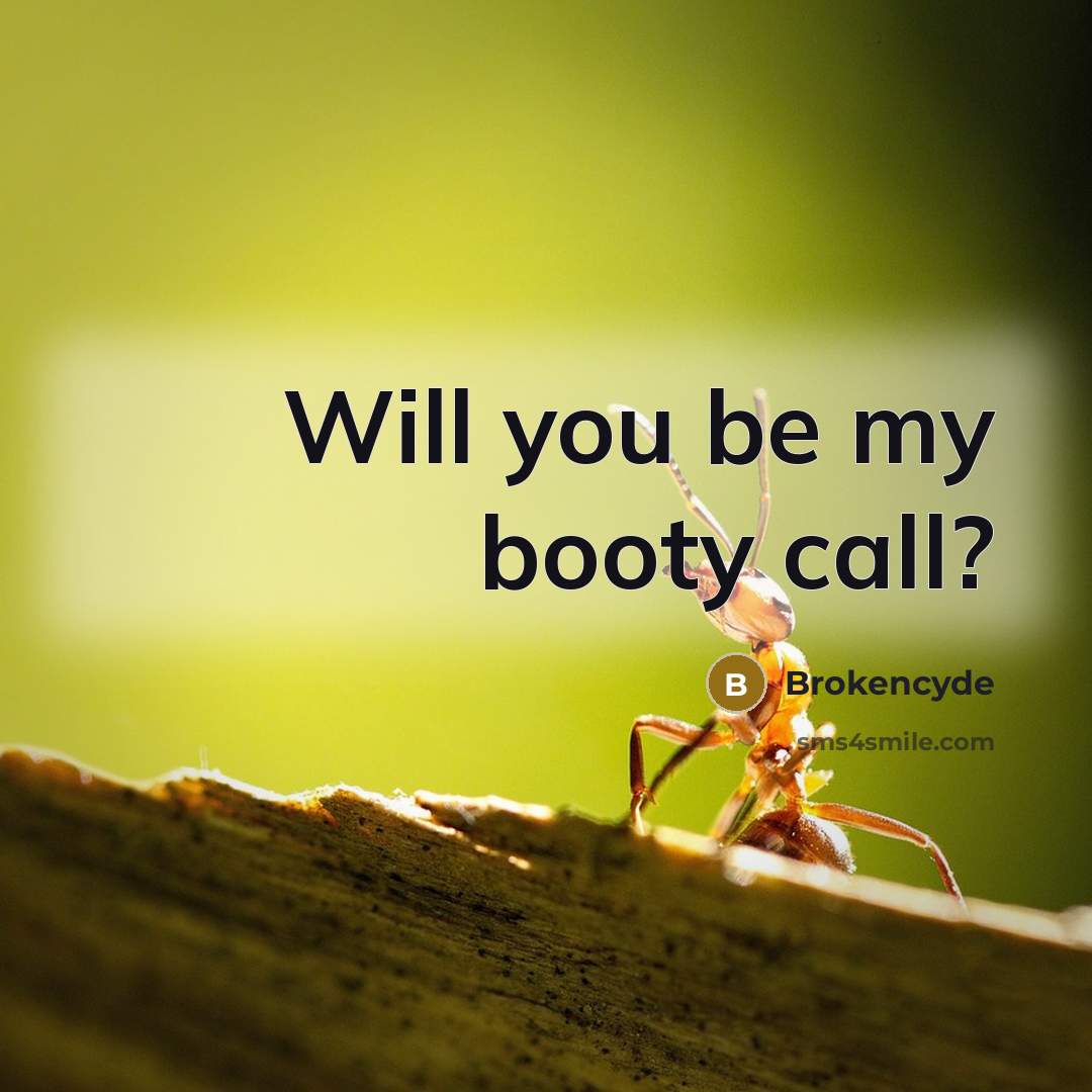 “Will you be my booty call?” quote by Brokencyde