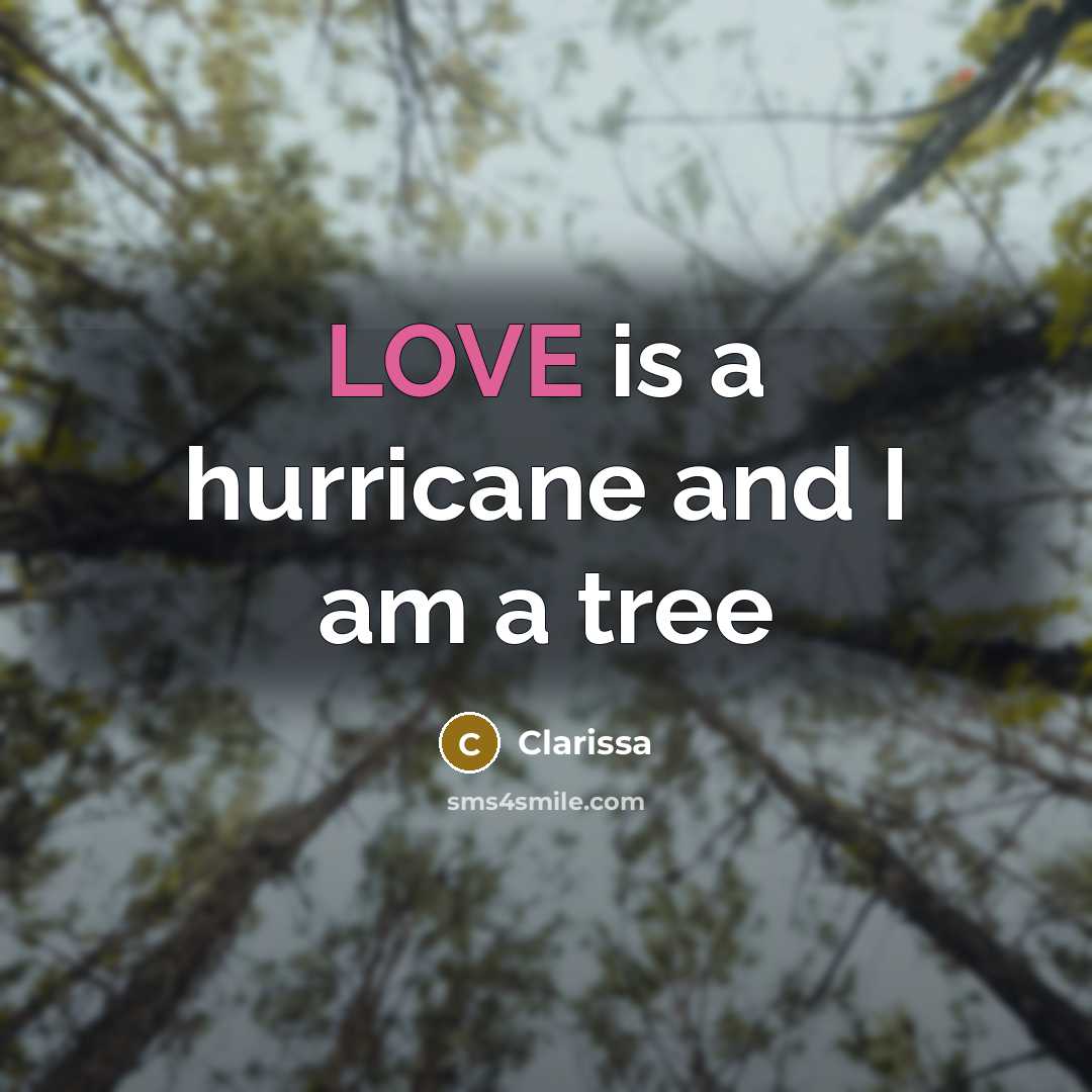 “LOVE is a hurricane and I am a tree…” quote by Clarissa