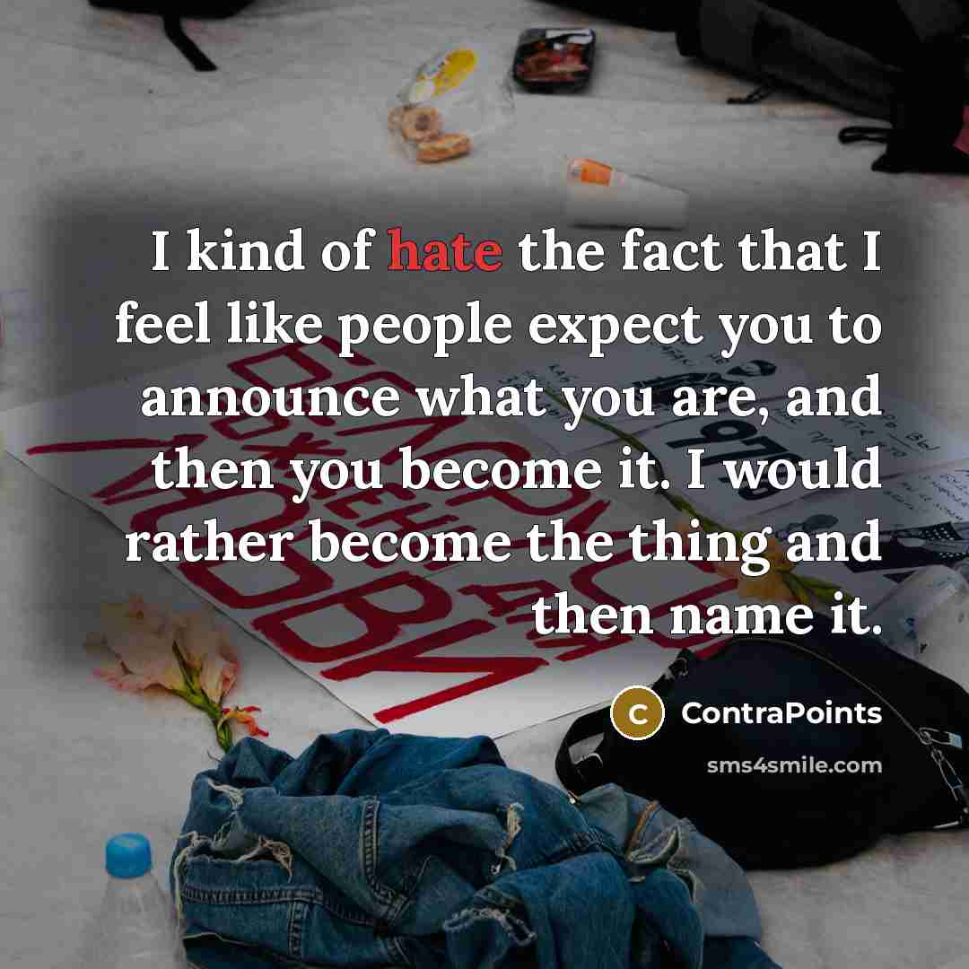 “I kind of hate the fact that I feel like…” quote by ContraPoints