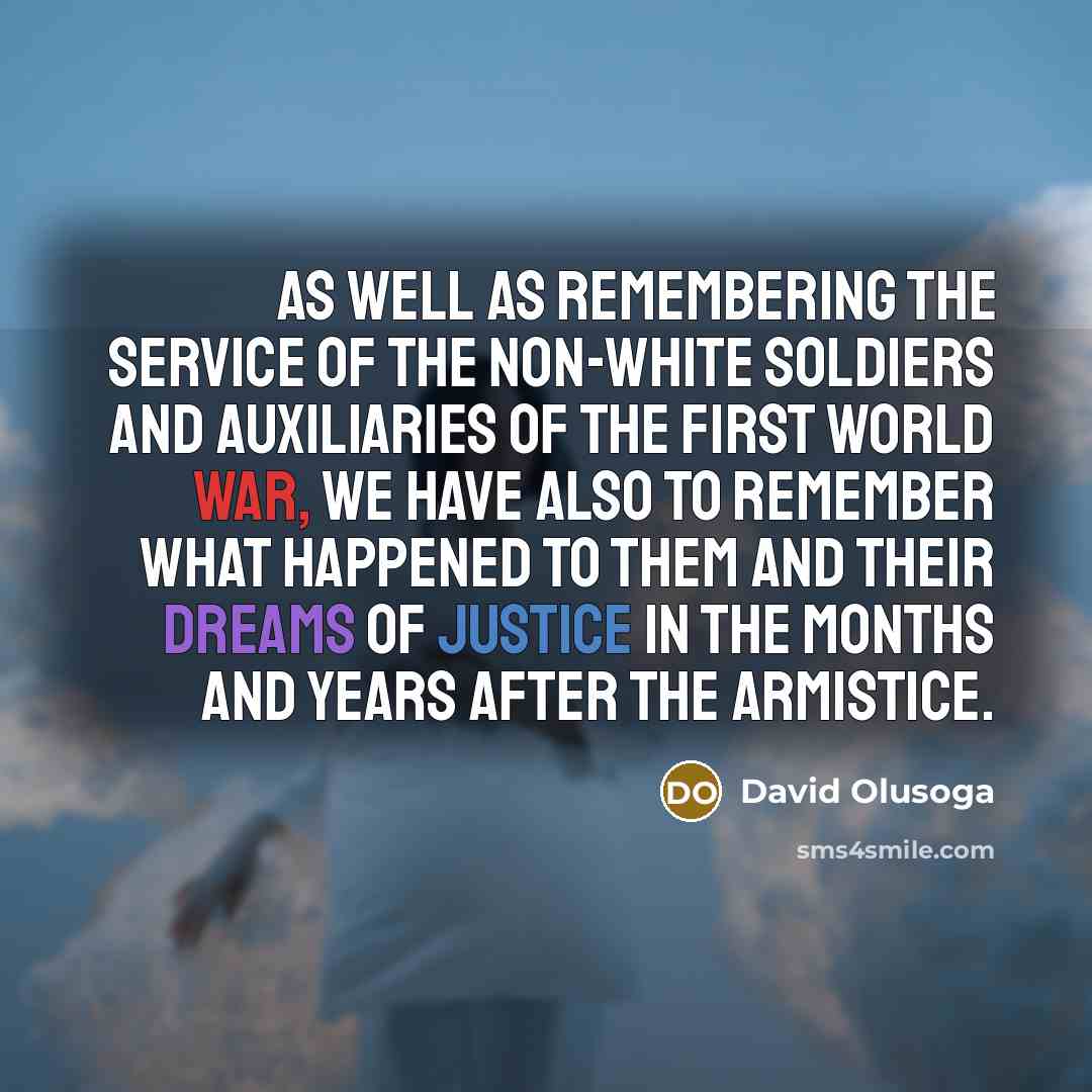 “As well as remembering the service of the non-white soldiers…” quote by David Olusoga