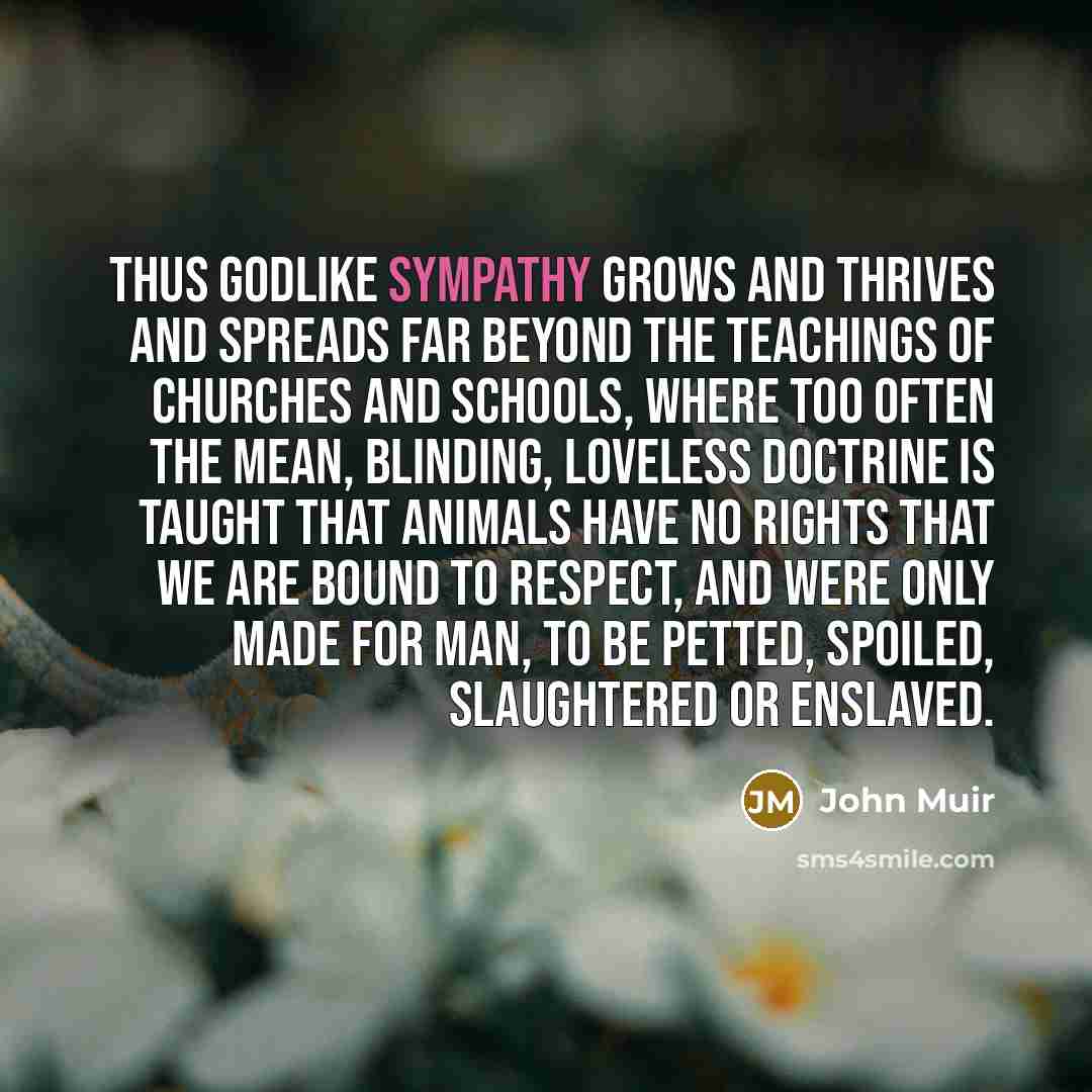“Thus godlike sympathy grows and thrives and spreads far beyond…” quote by John Muir
