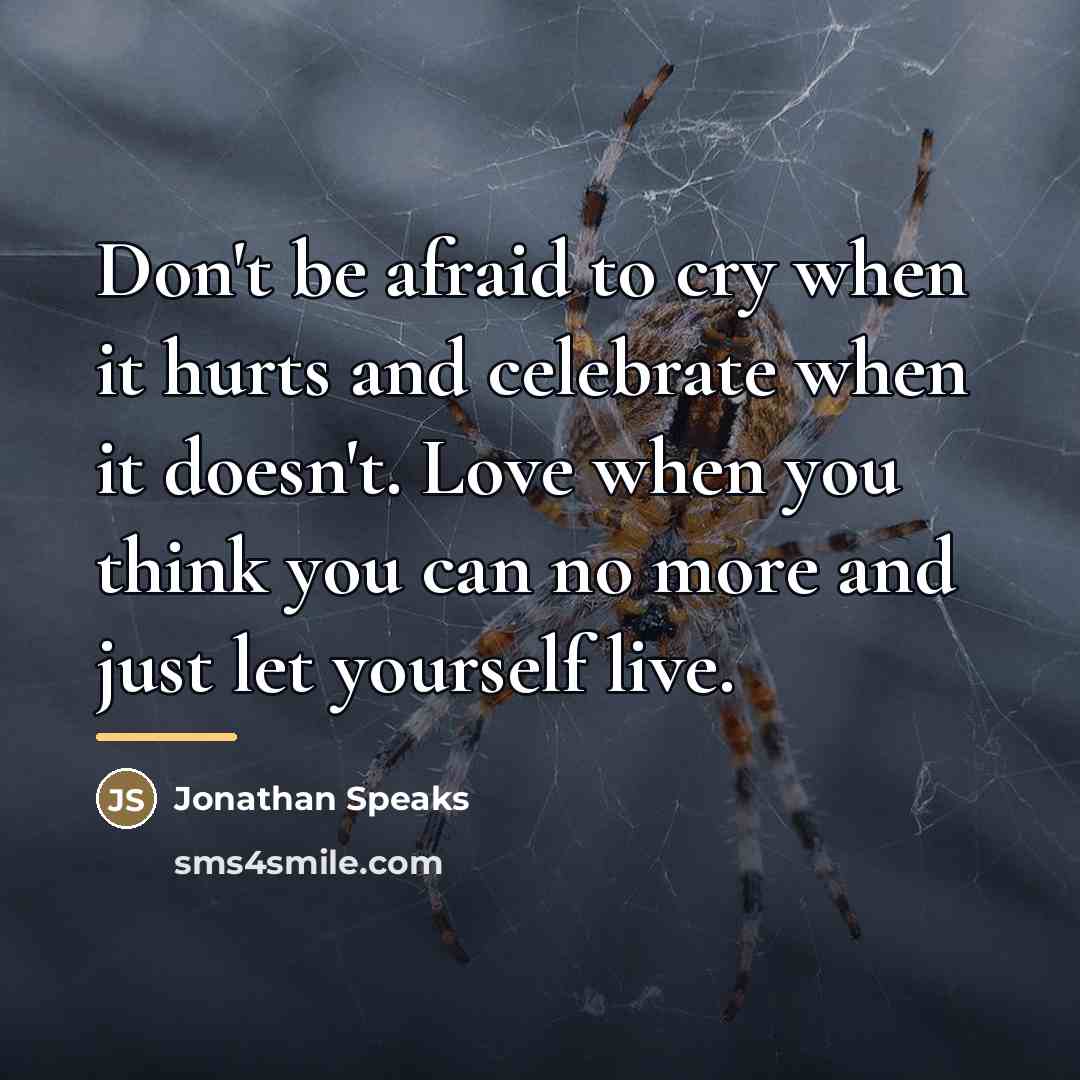 “Don't be afraid to cry when it hurts and celebrate…” quote by Anonymous