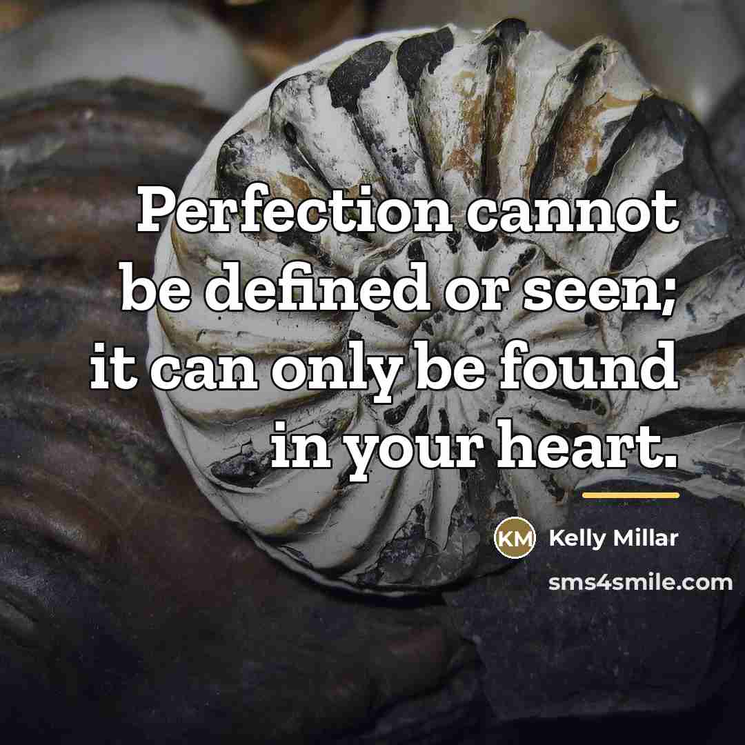 “Perfection cannot be defined or seen; it can only be…” quote by Anonymous