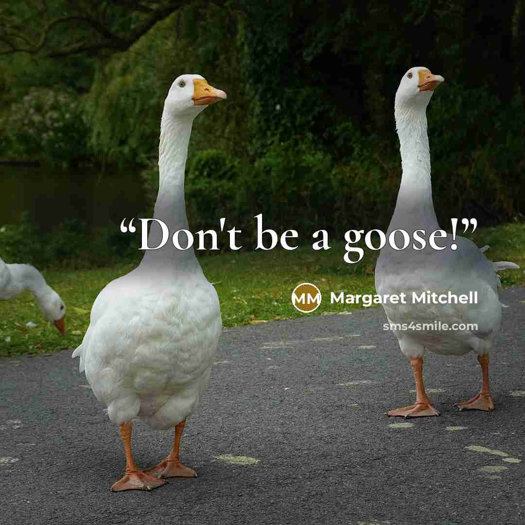 “Don't be a goose!” quote by Margaret Mitchell