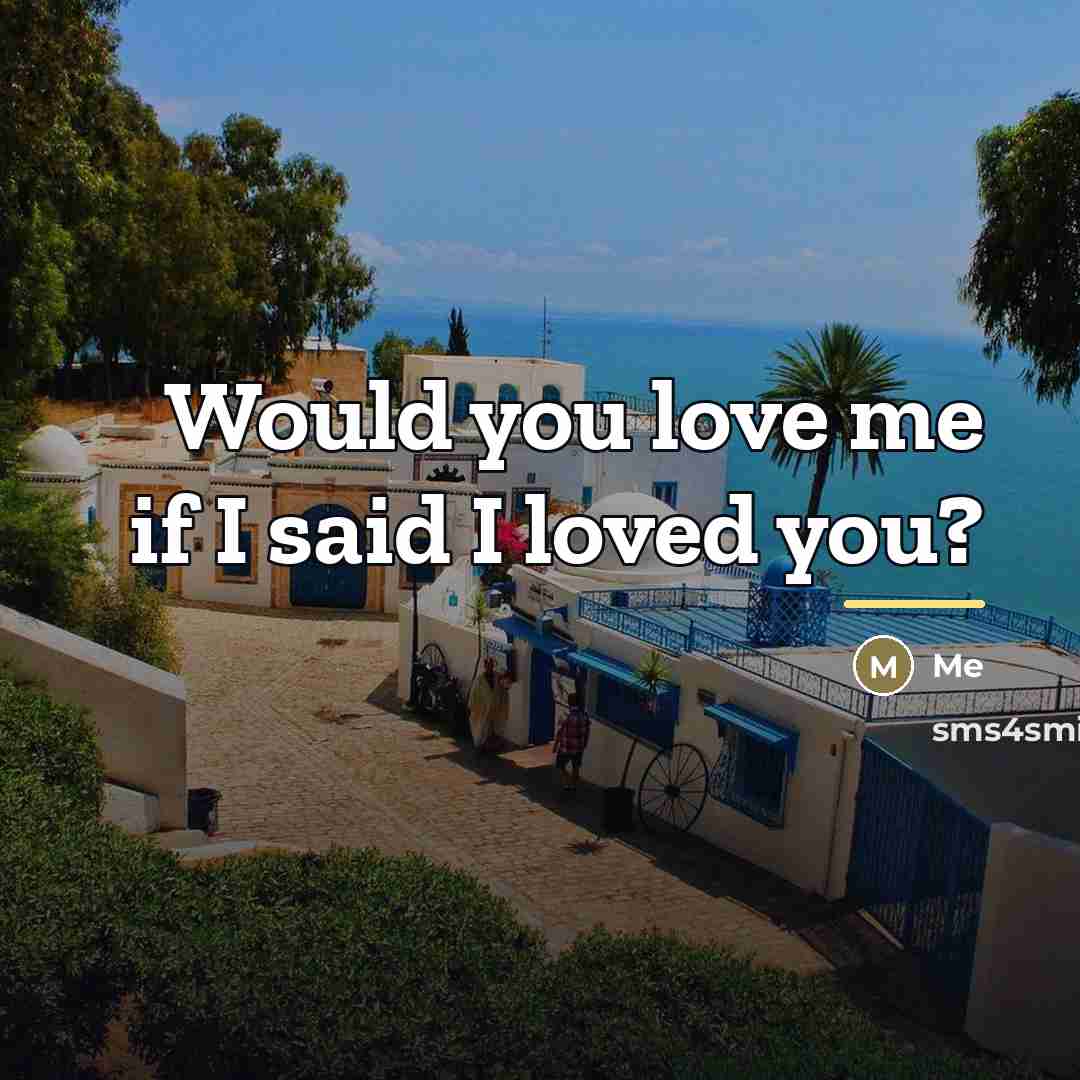 “Would you love me if I said I loved you?…” quote by Me