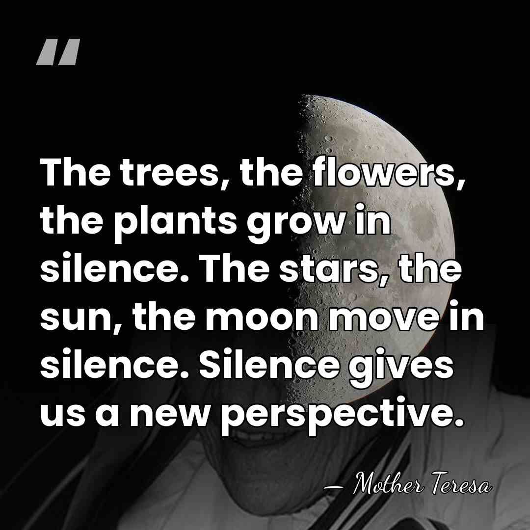 The trees, the flowers, the plants grow in silence. The stars, the&hellip; - Mother Teresa