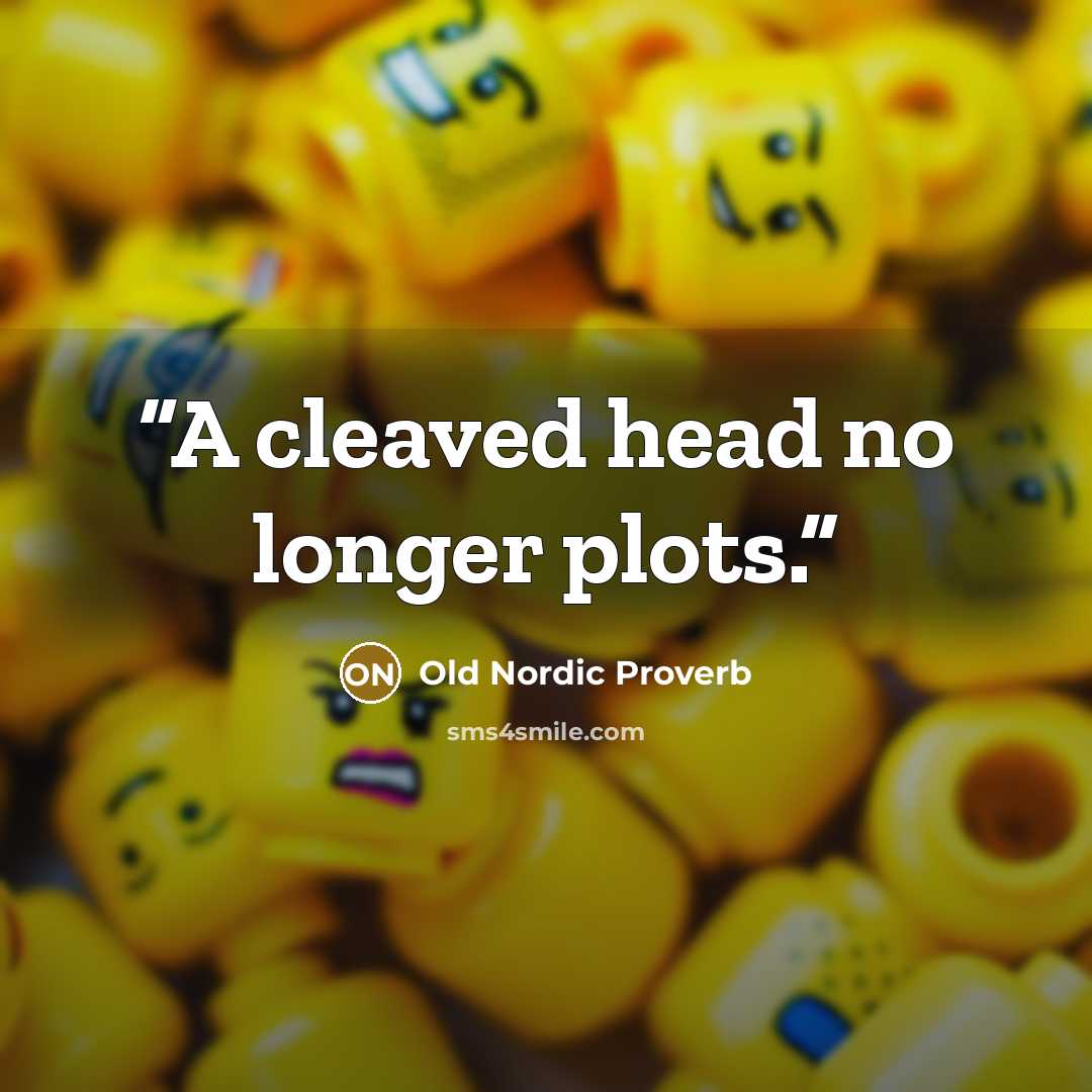 “A cleaved head no longer plots.” quote by Old Nordic Proverb