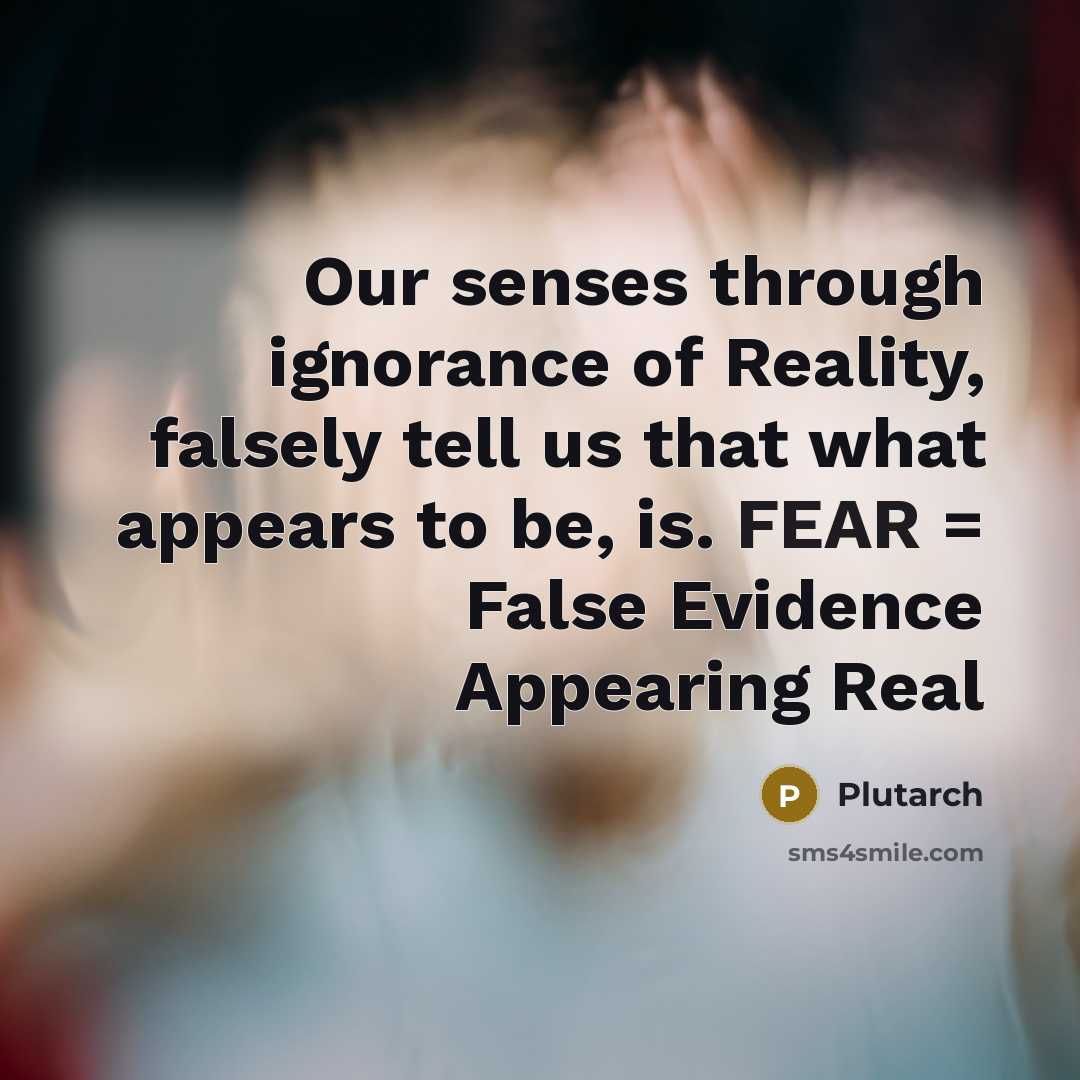 “Our senses through ignorance of Reality, falsely tell us that…” quote by Plutarch