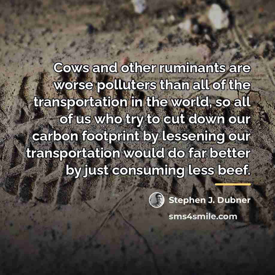 “Cows and other ruminants are worse polluters than all of…” quote by Stephen J. Dubner