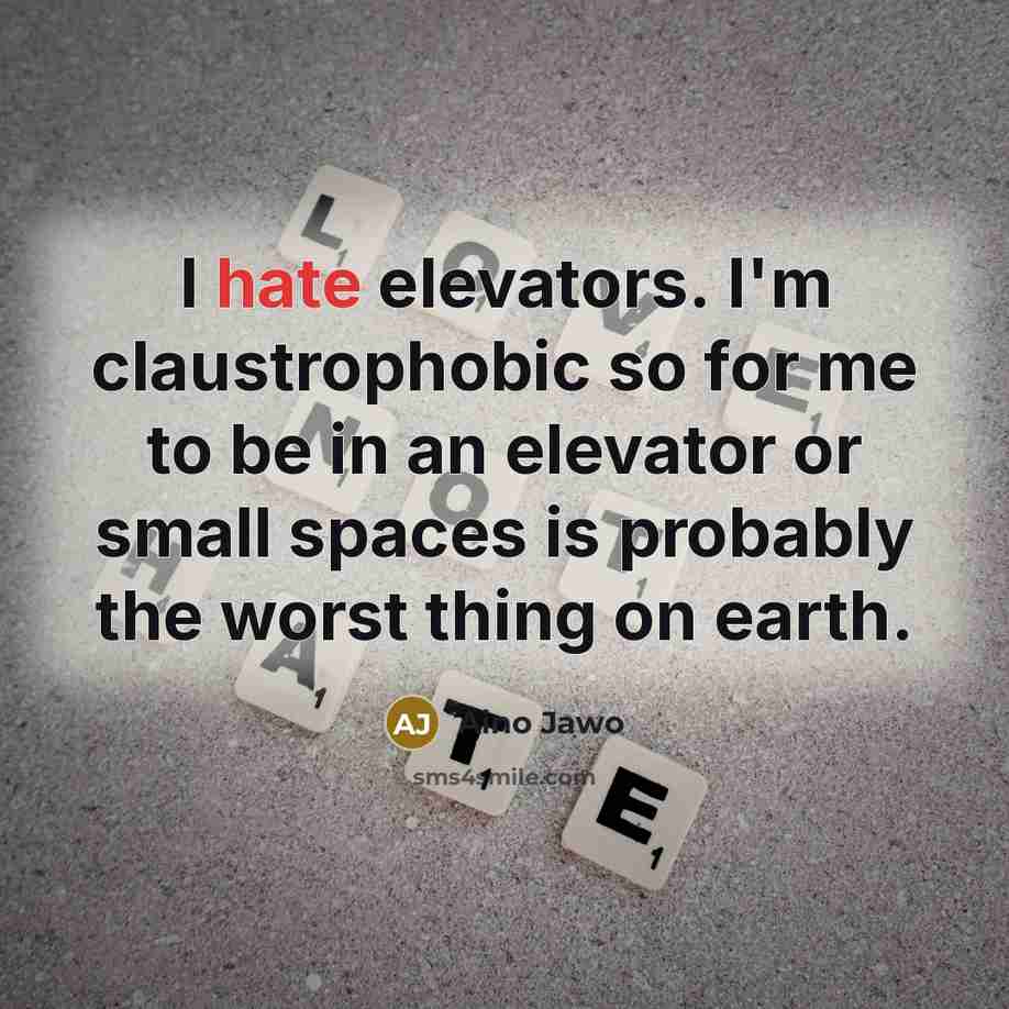 “I hate elevators. I'm claustrophobic so for me to be in an elevator or small spaces is probably the worst thing on earth.” quote by Aino Jawo
