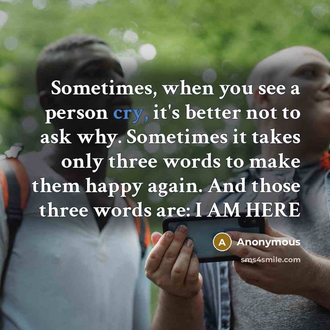 “Sometimes, when you see a person cry, it's better not…” quote by Anonymous