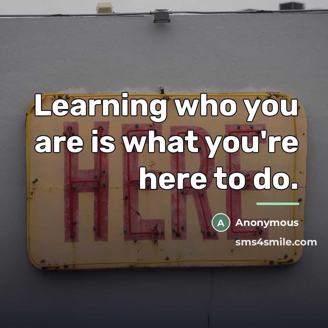 “Learning who you are is what you're here to do.…” quote by Anonymous