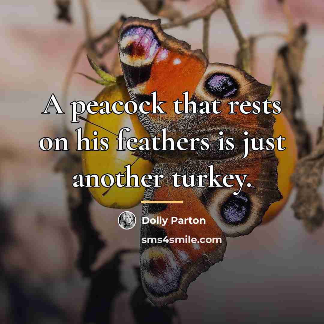 “A peacock that rests on his feathers is just another…” quote by Dolly Parton