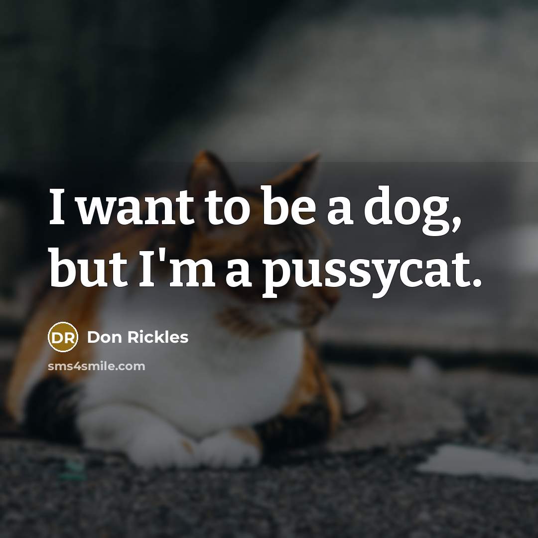 “I want to be a dog, but I'm a pussycat.” quote by Don Rickles