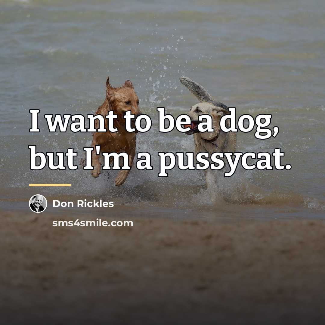 “I want to be a dog, but I'm a pussycat.…” quote by Don Rickles