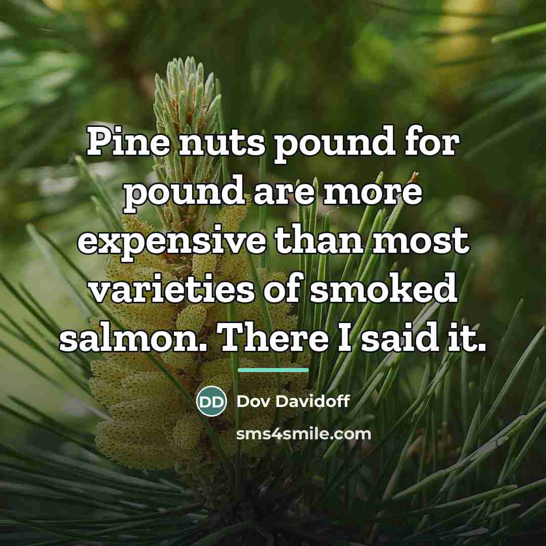 “Pine nuts pound for pound are more expensive than most…” quote by Dov Davidoff