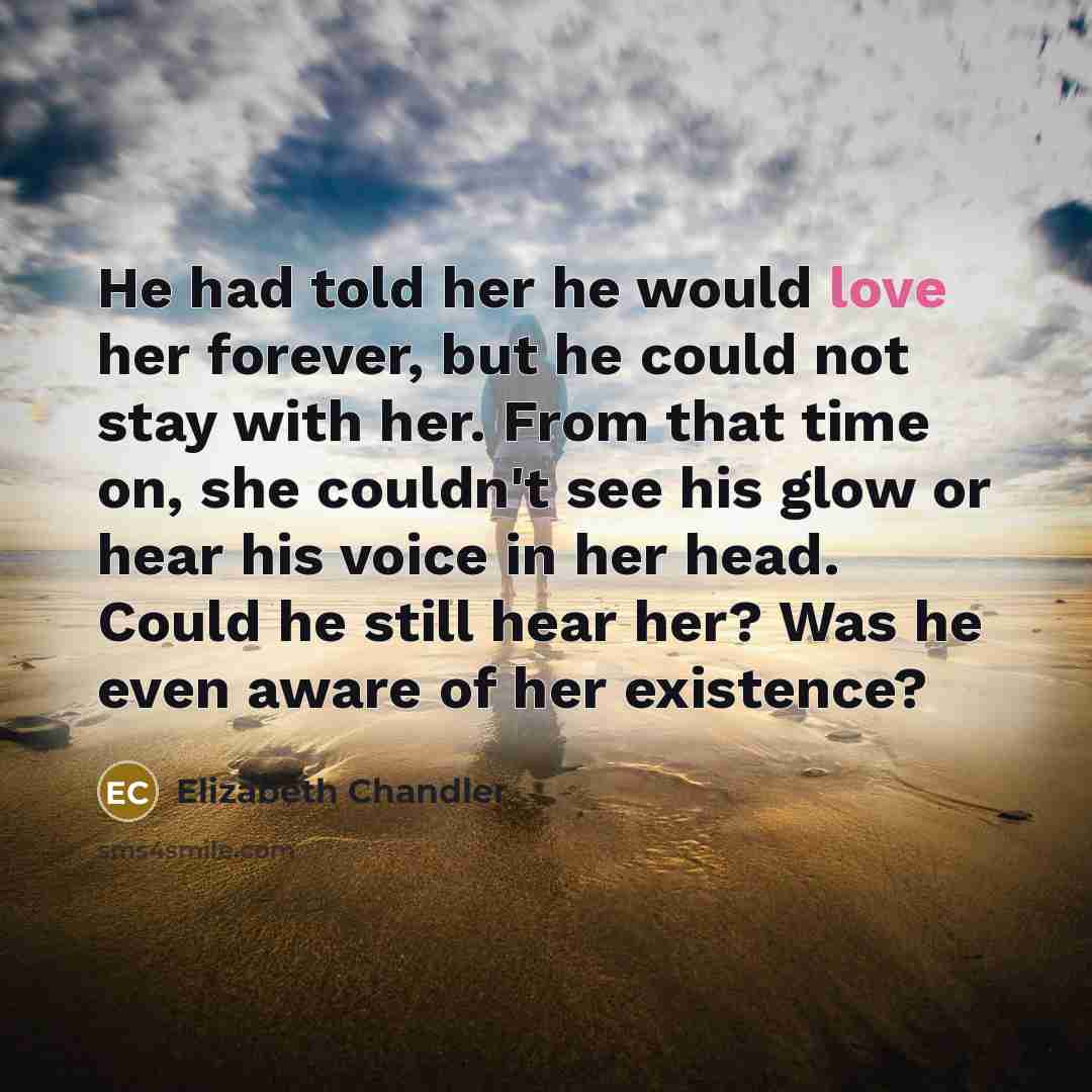 “He had told her he would love her forever, but…” quote by Elizabeth Chandler