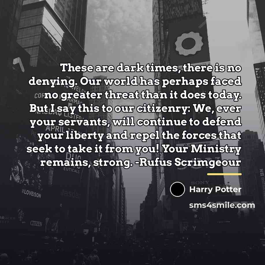 “These are dark times, there is no denying. Our world…” quote by Harry Potter