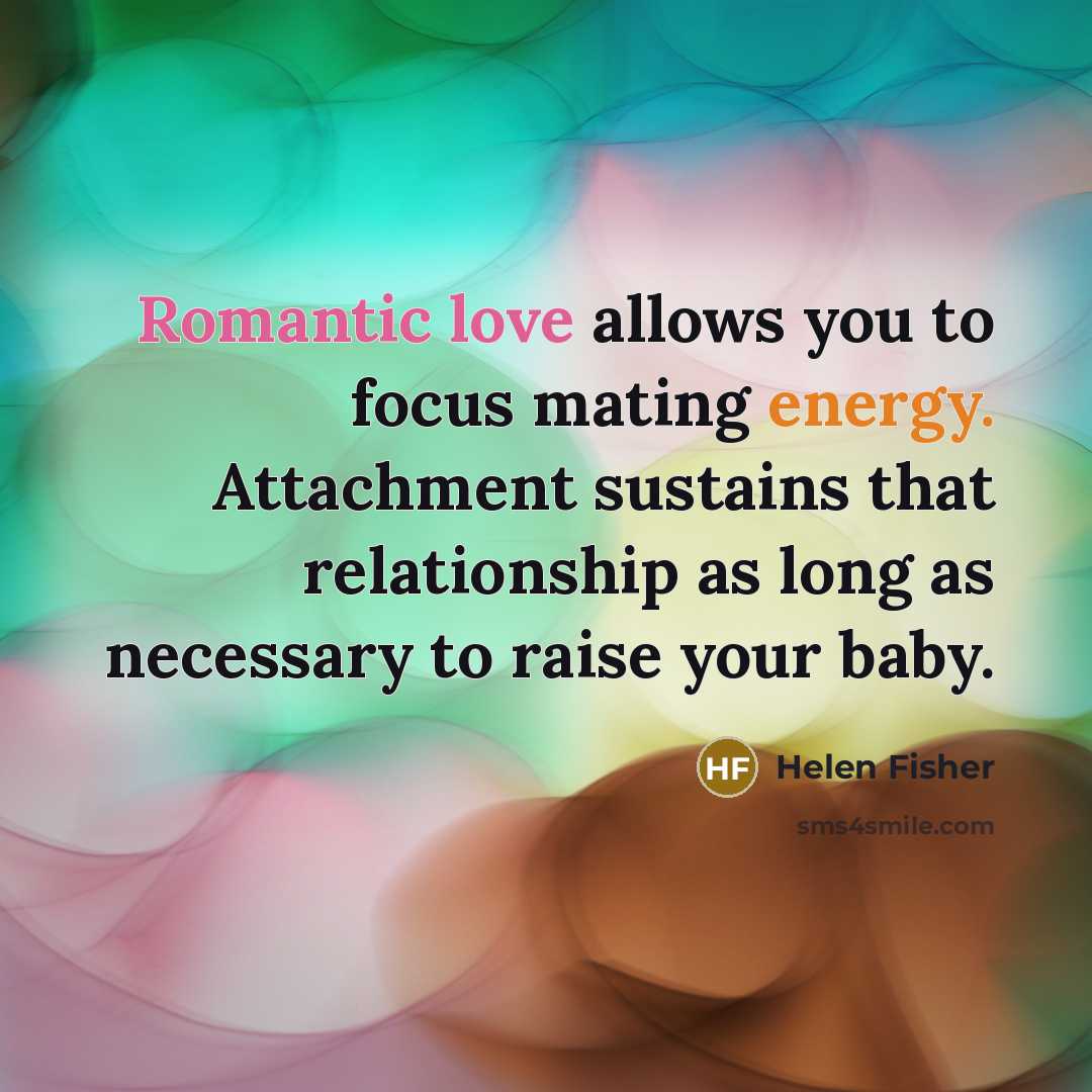 “Romantic love allows you to focus mating energy. Attachment sustains…” quote by Helen Fisher