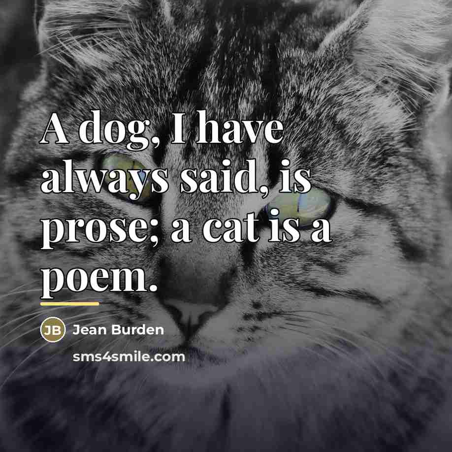 “A dog, I have always said, is prose; a cat…” quote by Jean Burden