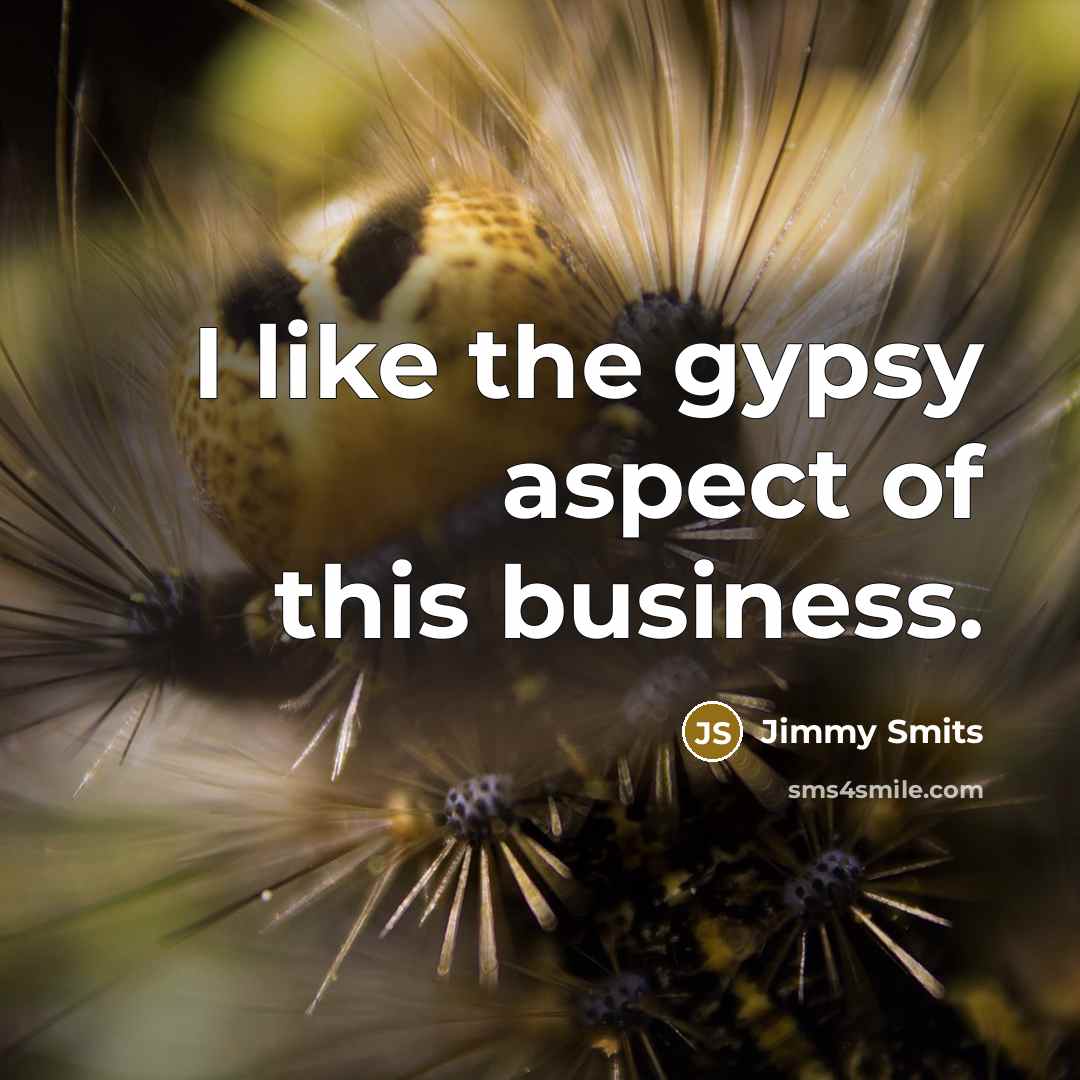 “I like the gypsy aspect of this business.…” quote by Jimmy Smits