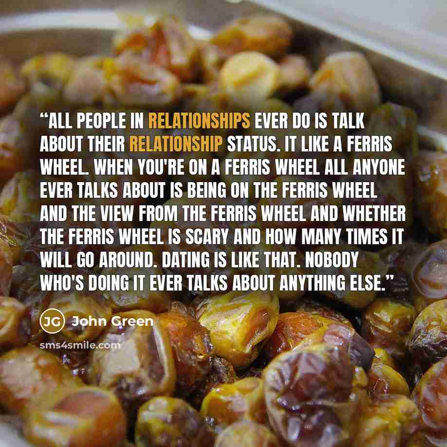 “All people in relationships ever do is talk about their relationship status. It like a Ferris wheel. When you're on a Ferris wheel all anyone ever talks about is being on the Ferris wheel and the view from the Ferris wheel and whether the Ferris wheel is scary and how many times it will go around…” quote by John Green