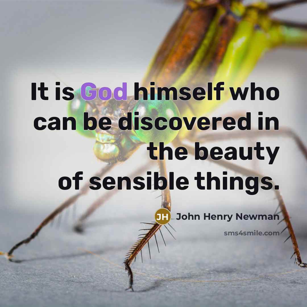 “It is God himself who can be discovered in the…” quote by John Henry Newman