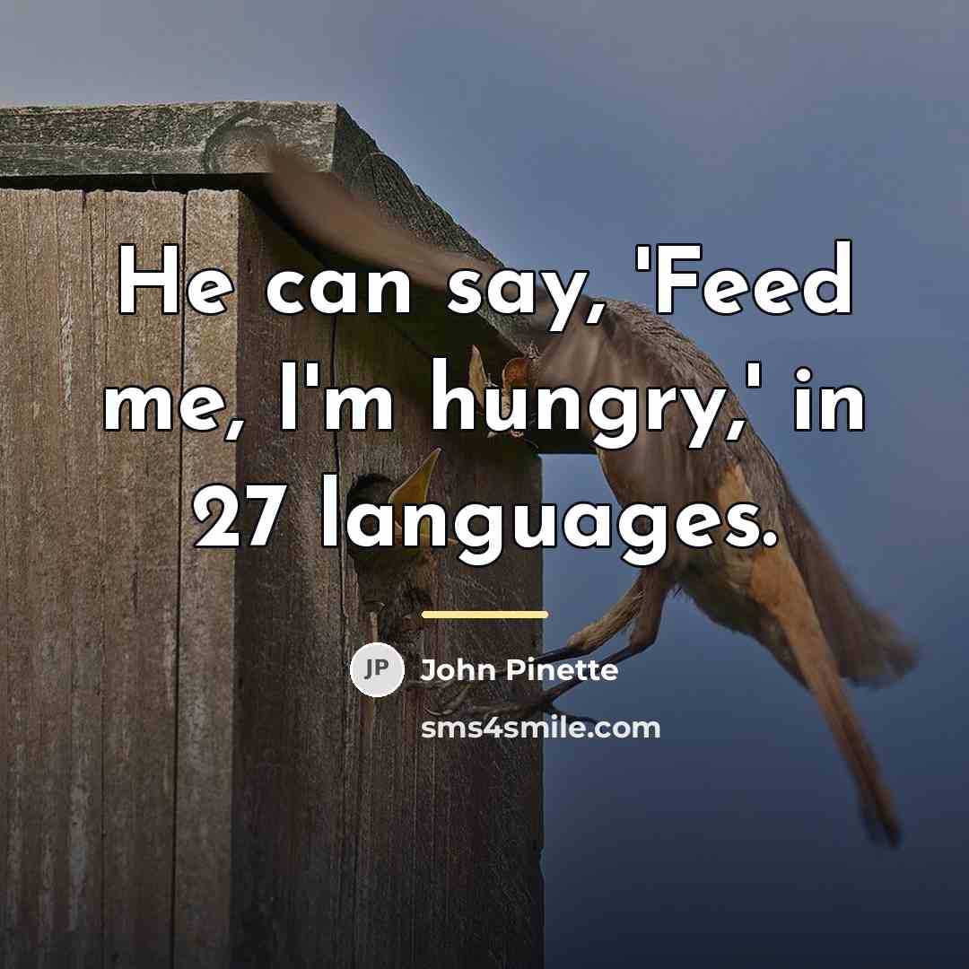 “He can say, 'Feed me, I'm hungry,' in 27 languages.…” quote by John Pinette