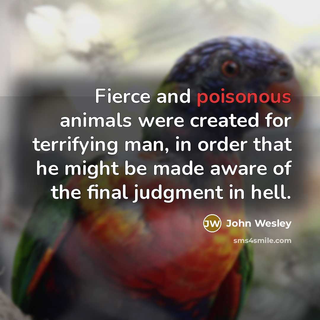 “Fierce and poisonous animals were created for terrifying man, in…” quote by John Wesley