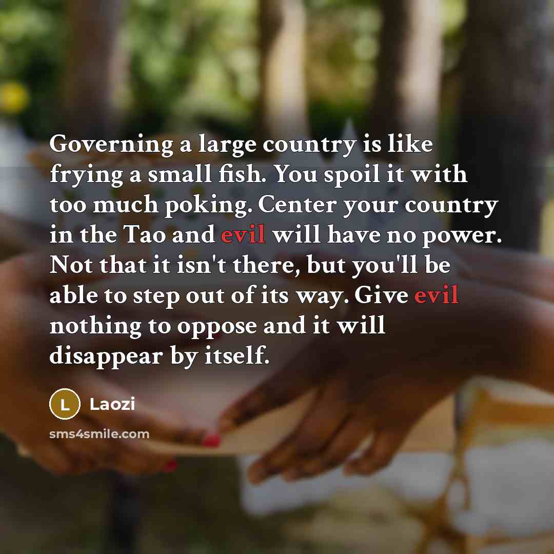 “Governing a large country is like frying a small fish.…” quote by Laozi