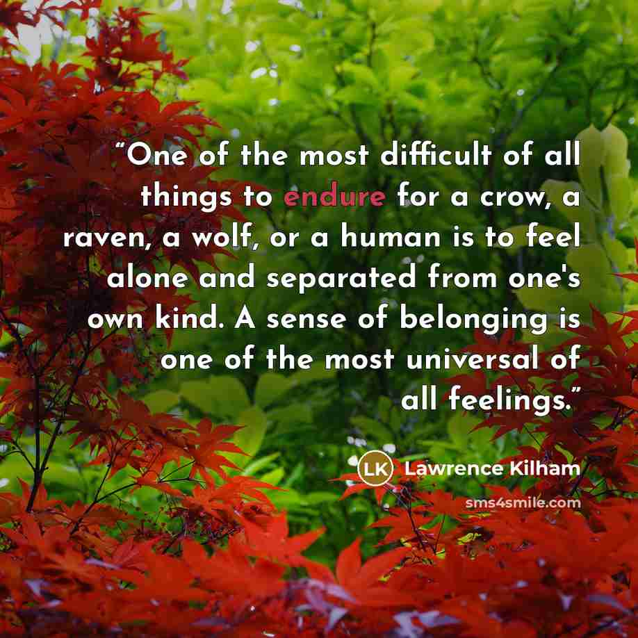 “One of the most difficult of all things to endure for a crow, a raven, a wolf, or a human is to feel alone and separated from one's own kind. A sense of belonging is one of the most universal of all feelings.” quote by Lawrence Kilham