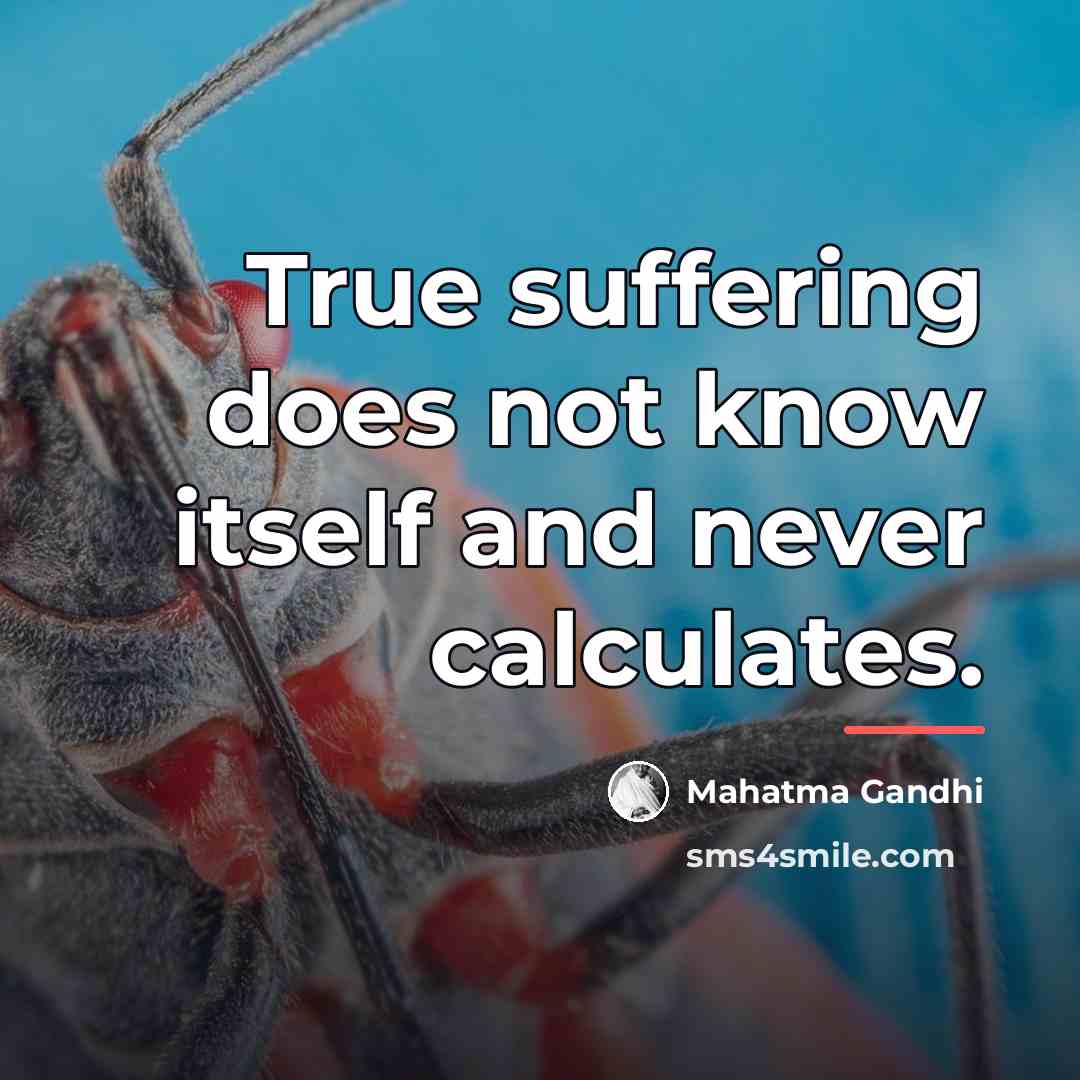 “True suffering does not know itself and never calculates.…” quote by Mahatma Gandhi