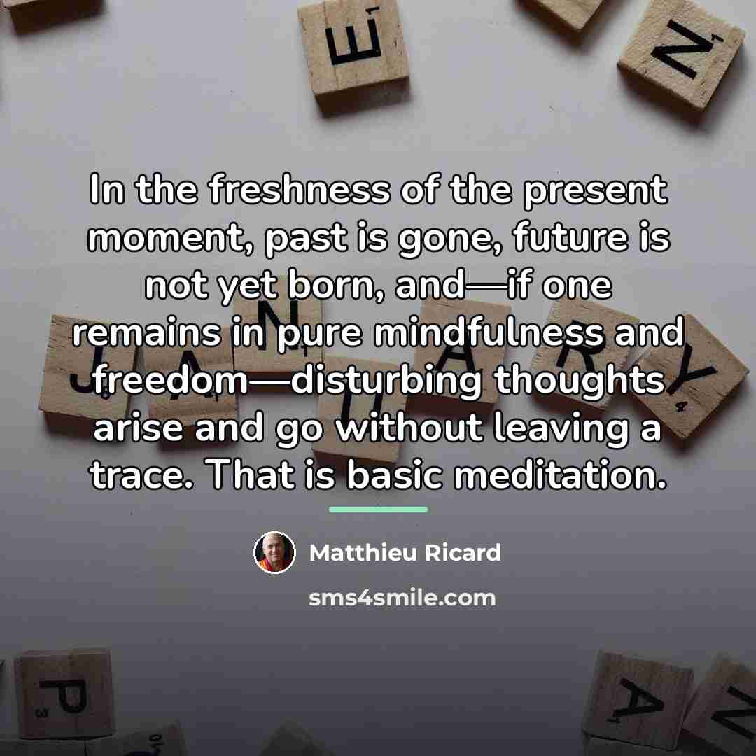 “In the freshness of the present moment, past is gone,…” quote by Matthieu Ricard